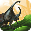 火影的正能量网站中文版下载-火影的正能量网站下载手机版v1.0.3.27434