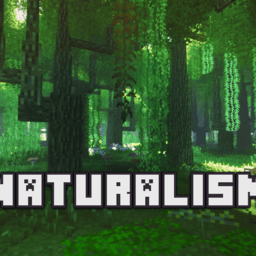 亚洲最大成人社区自然主义整合包下载手机版-亚洲最大成人社区自然主义模组下载 v951622101 安卓版